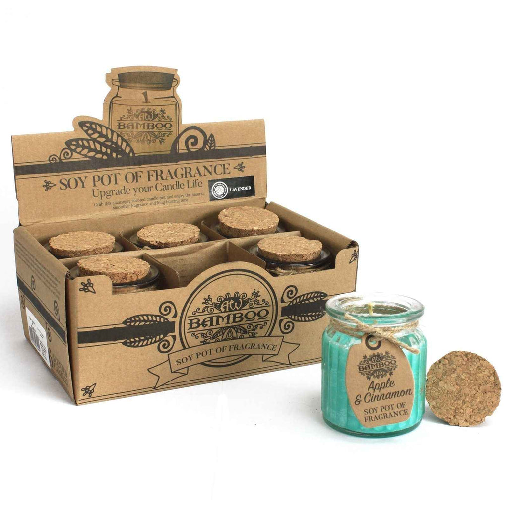 Apple Cinnamon Soy Candle for a Cozy Ambiance - Ideal Fragrance Pot - Ignara Living