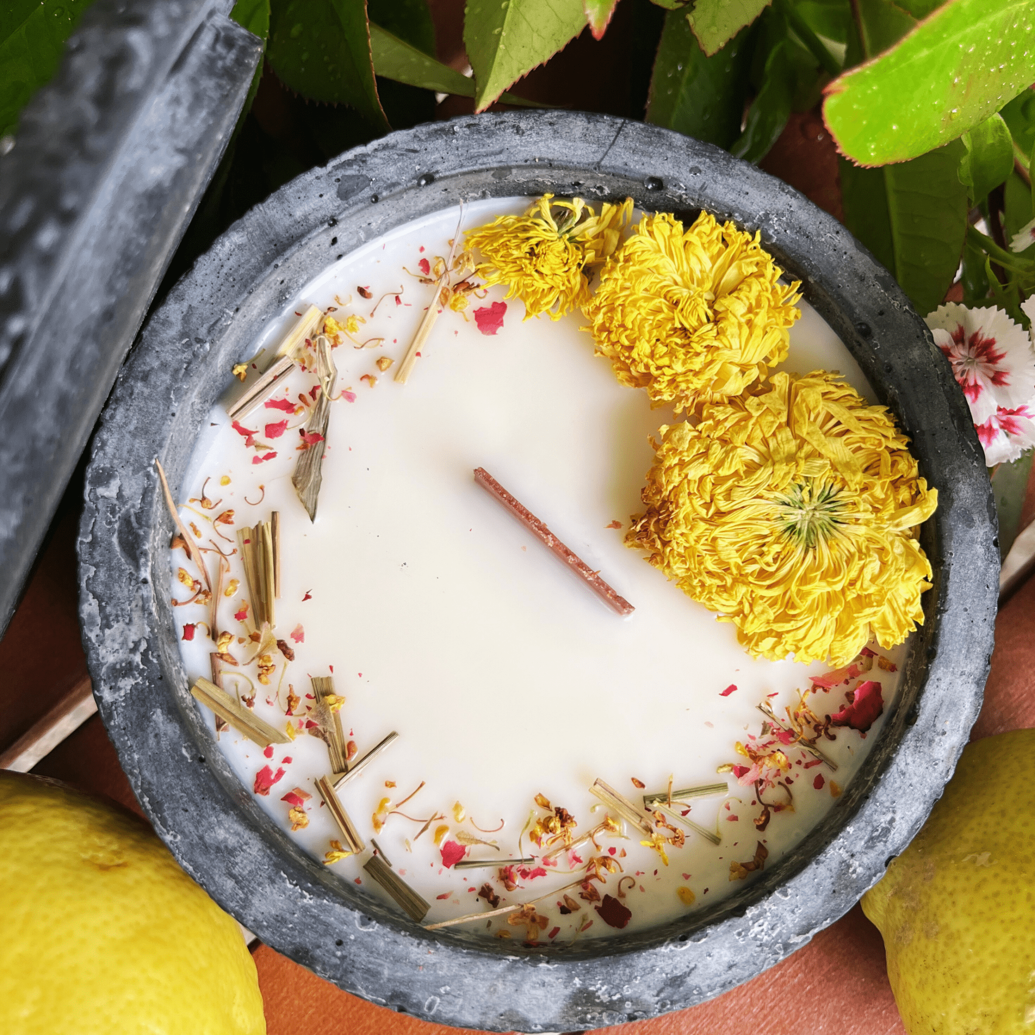 Black Edition HANDGEMACHTE Citronella BETONKERZE - Stilvolle Sojawachskerze für Ihr Zuhause. Outdoor Kerze mit Blütenverzierung und HOCHWERTIGEM Holzdocht aus dem Südschwarzwald - Ignara Living