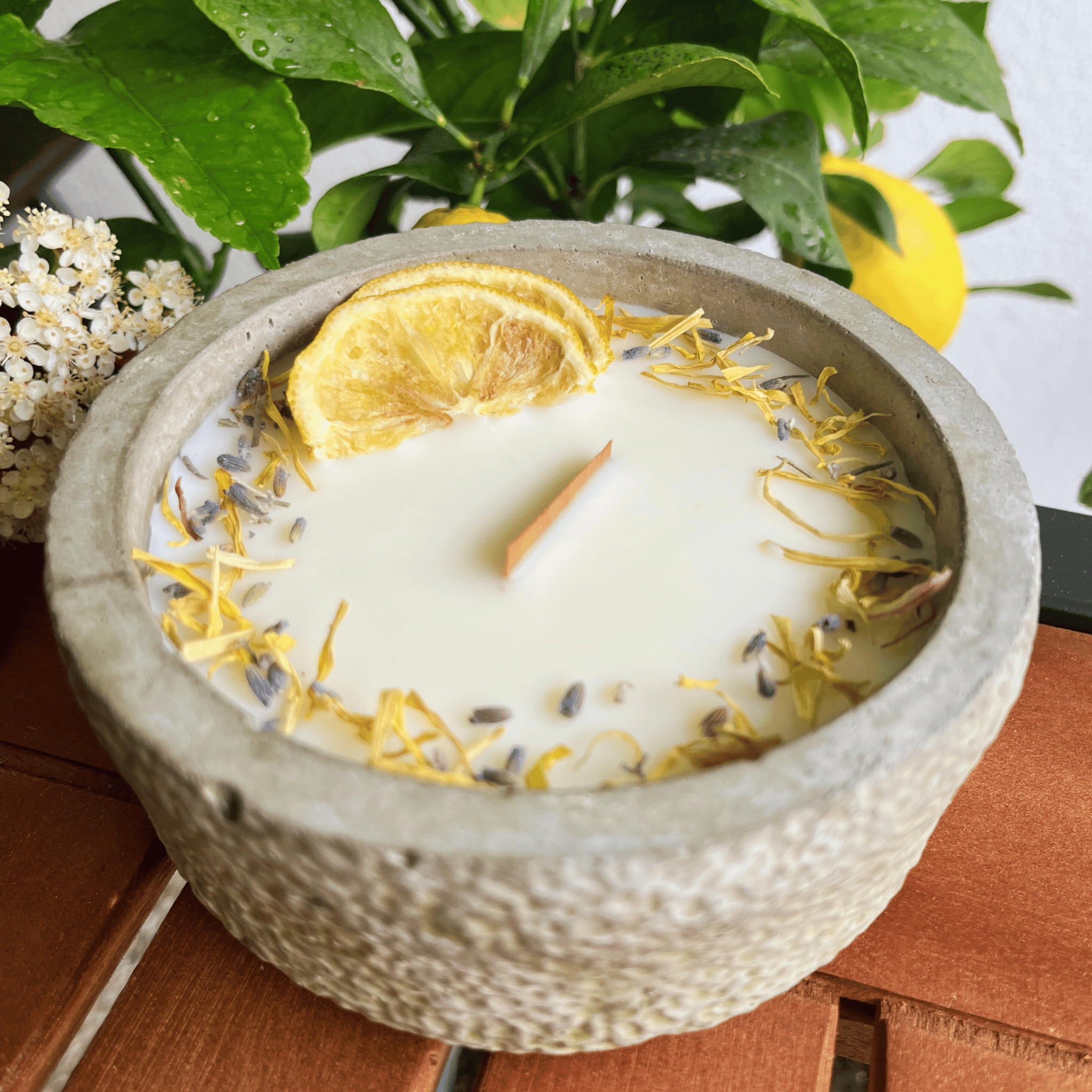 Limitierte Einzelstücke: Outdoor Citronella - Betonkerze „Mugge Schreck“ – Handgemachter Insektenschutz aus dem Südschwarzwald mit Blütenverzierung - Ignara Living